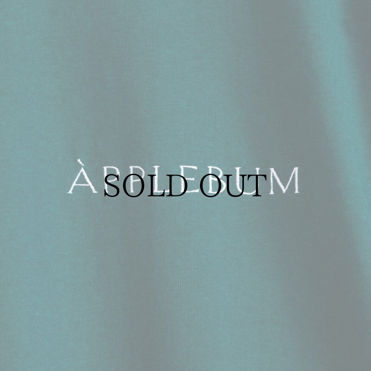 画像12: APPLEBUM(アップルバム) / "BONITA APPLEBUM 1500" BIG L/S T-SHIRT (12)