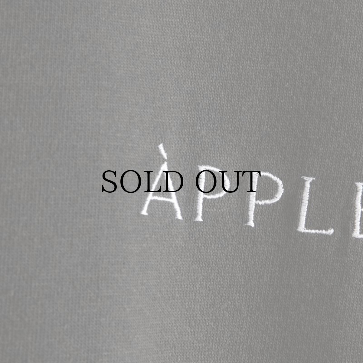 画像13: APPLEBUM(アップルバム) / "BONITA APPLEBUM 1500" BIG L/S T-SHIRT (13)