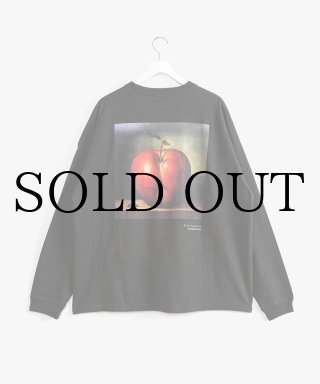 【ルーキー様】アップルバム Birth of Hero Tシャツ XL APPLEBUM(アップルバム) ジャケット “The Birth of Hero” Coach Jacket