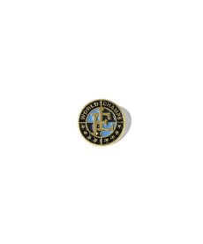 画像1: LFYT(ラファイエット) / WORLD CHAMPS BADGE PINS (1)