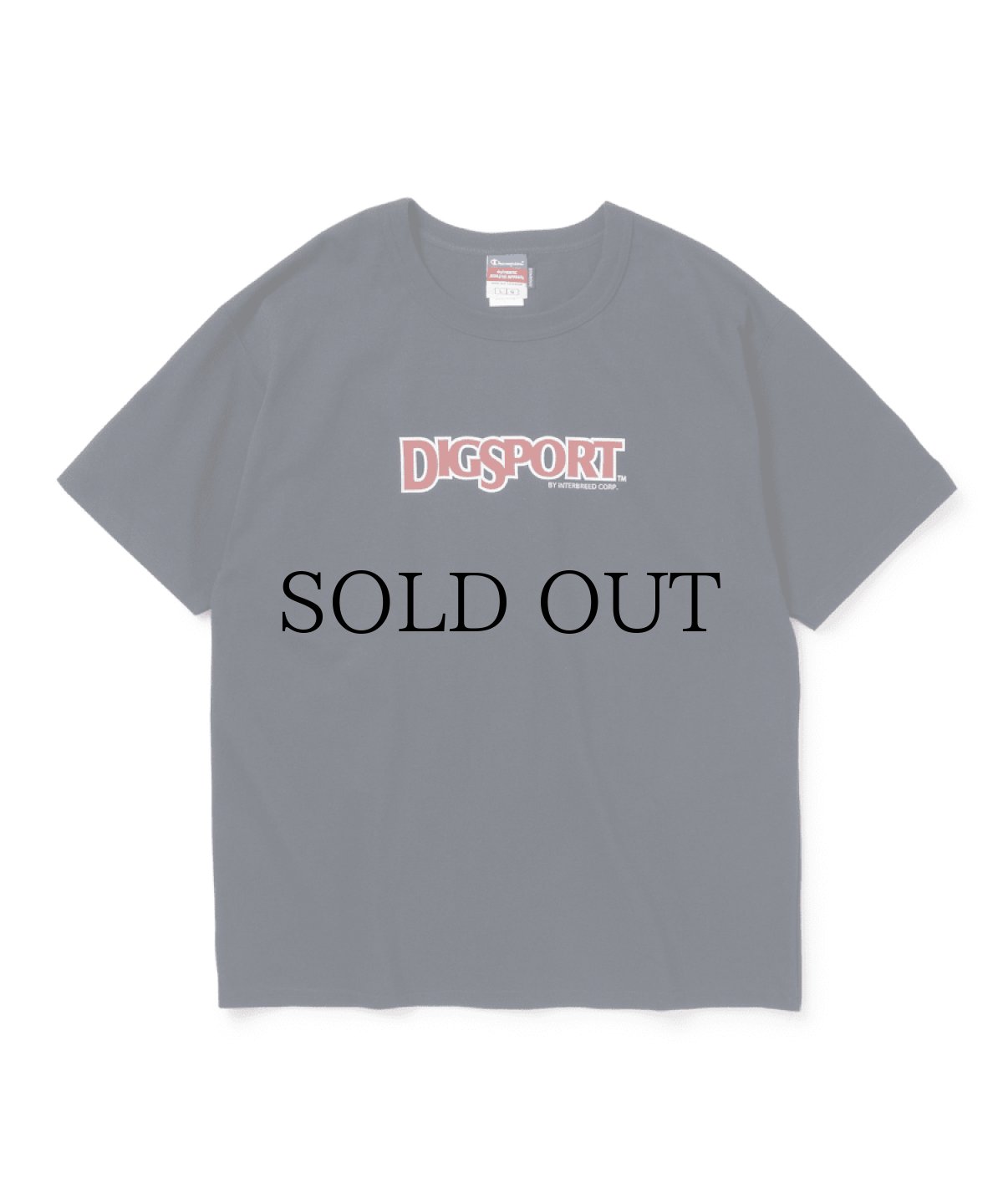 画像2: 【30%OFF】INTERBREED / DIGSPORT Heavy Weight SS Tee (2)