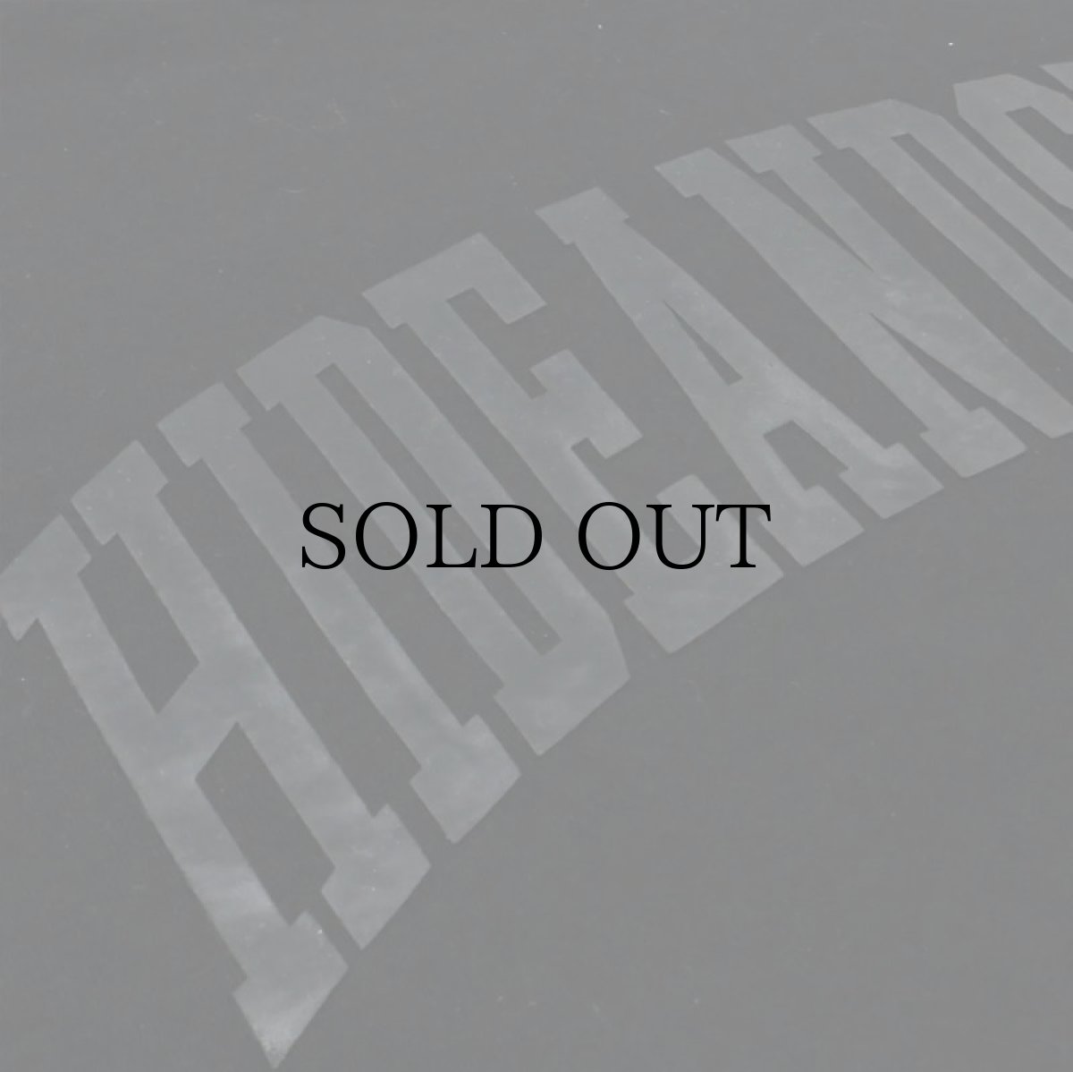 画像4: HIDEANDSEEK(ハイドアンドシーク) / College Heavy OZ S/S Tee(23aw) (4)