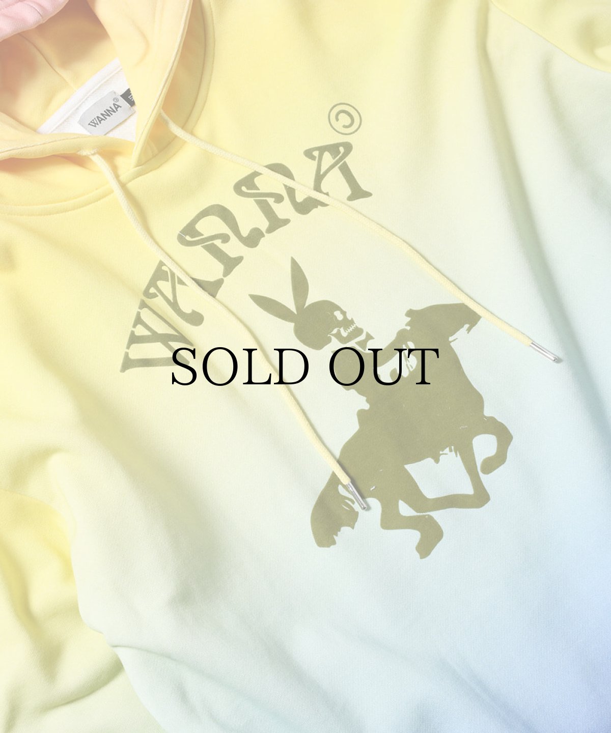 画像4: WANNA / RICHARD BUNNY GRADATION HOODIE (4)