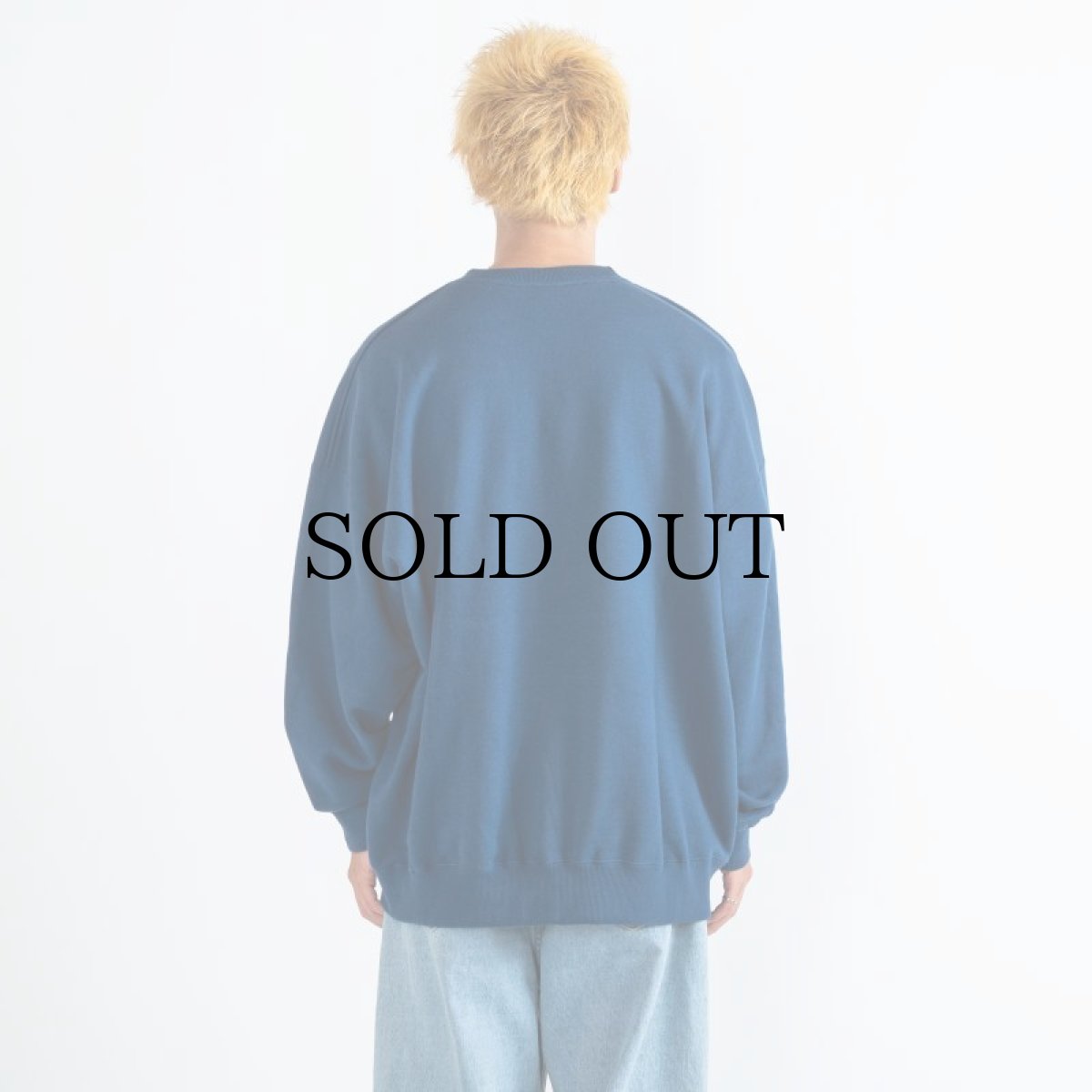 画像25: APPLEBUM(アップルバム) / "APBM" Big Crew Sweat (25)