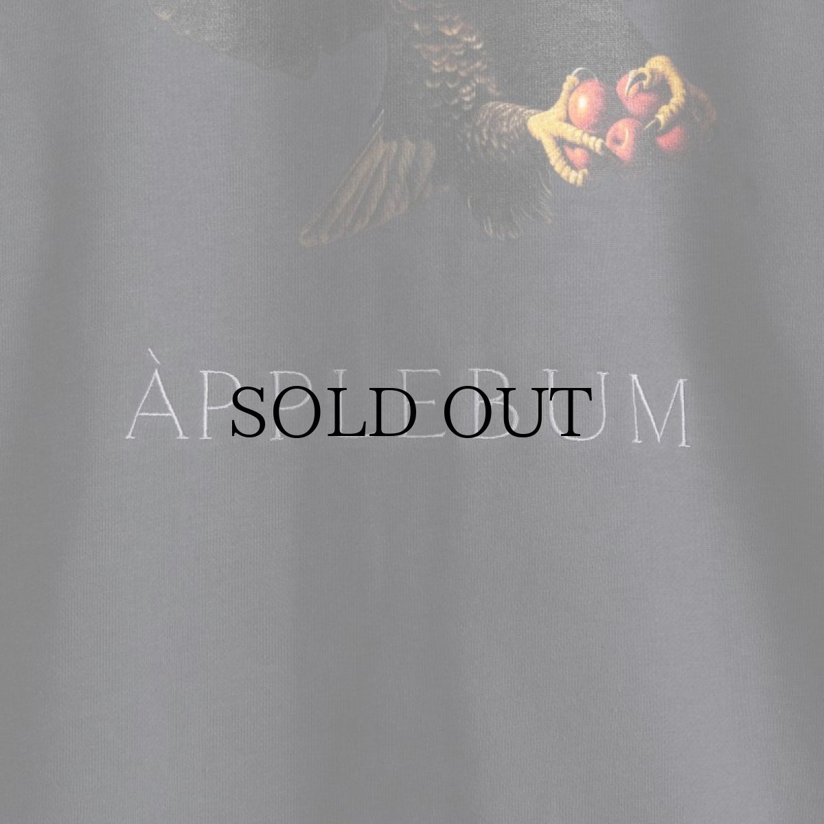 画像10: APPLEBUM(アップルバム) / "Bald Eagle" Crew Sweat (10)