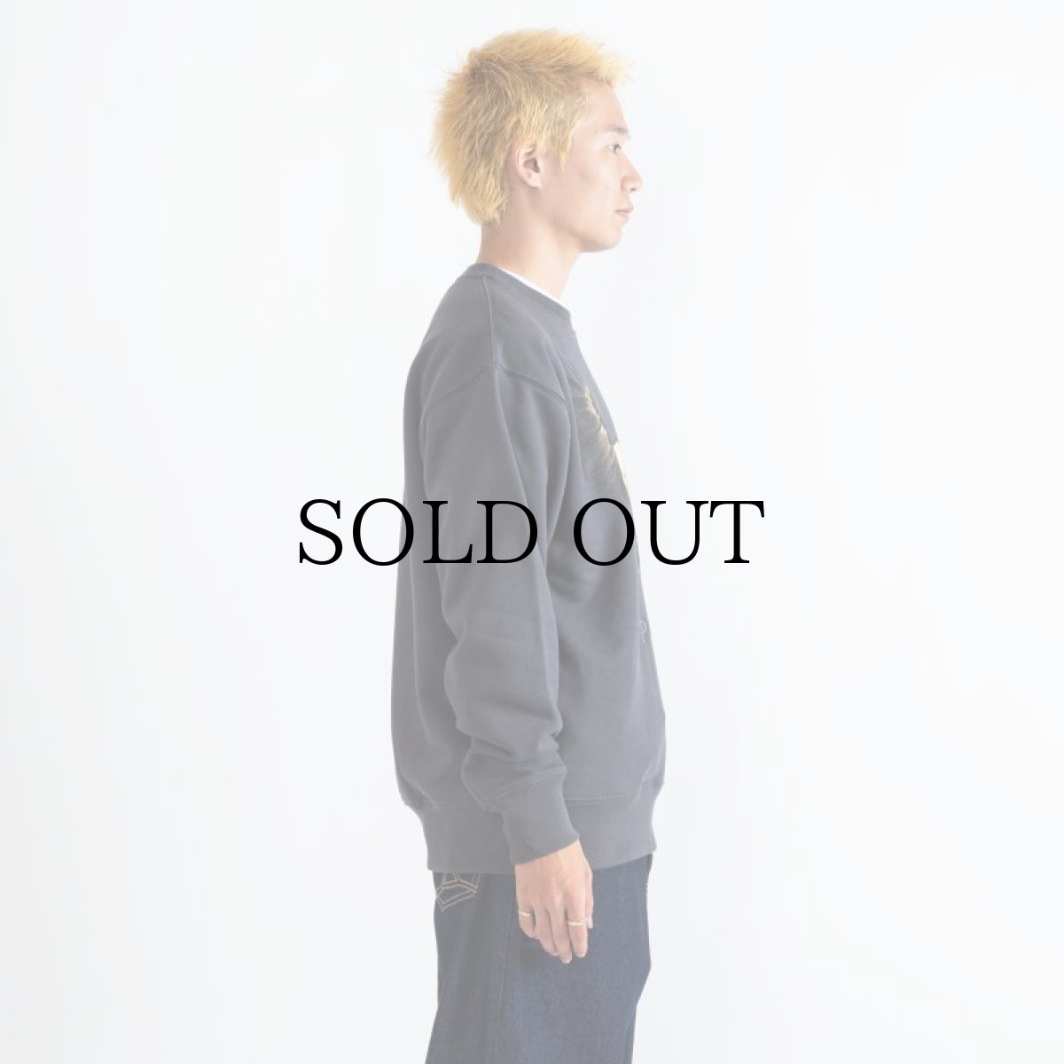 画像20: APPLEBUM(アップルバム) / "Bald Eagle" Crew Sweat (20)