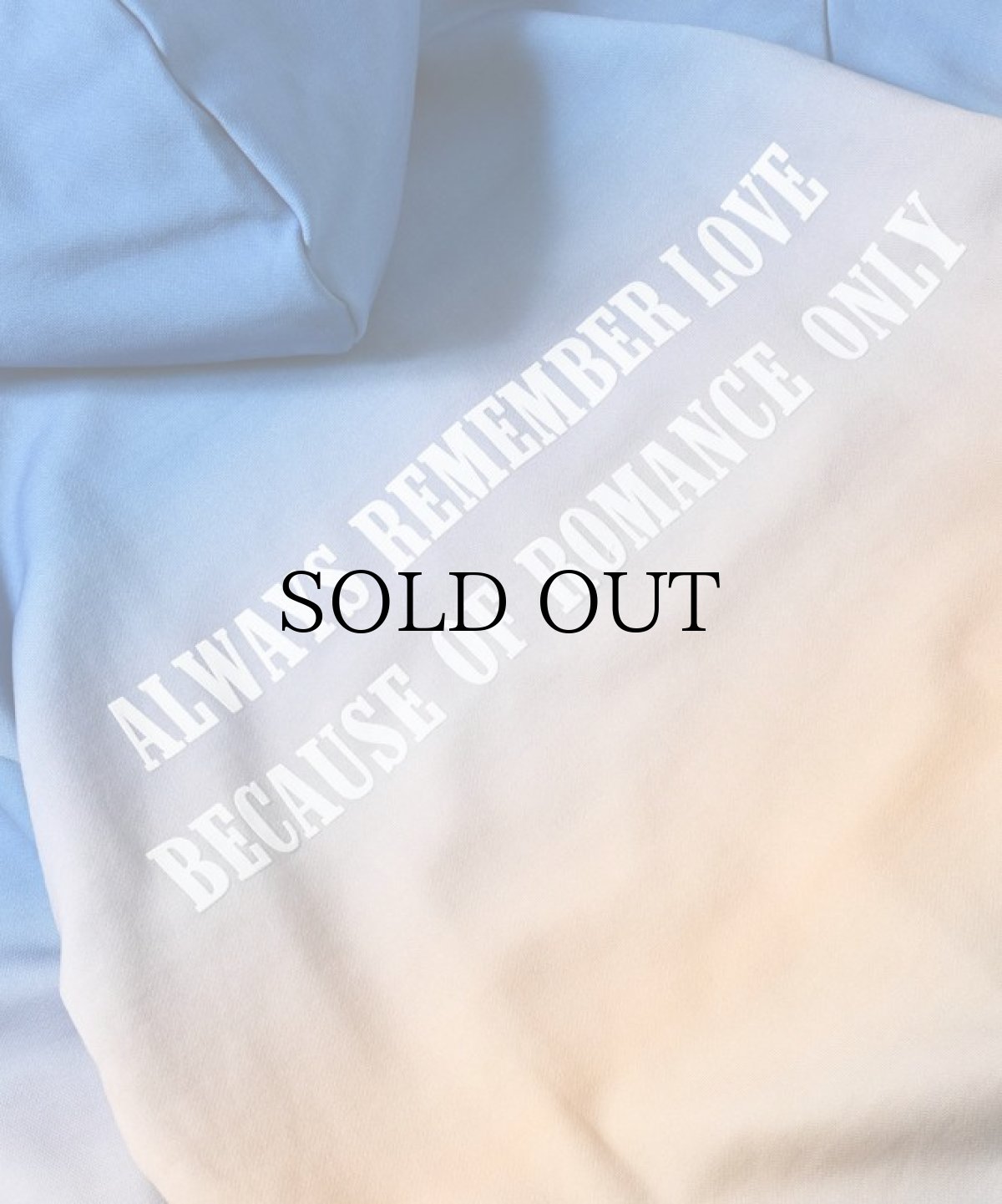 画像7: WANNA / RICHARD BUNNY GRADATION HOODIE (7)