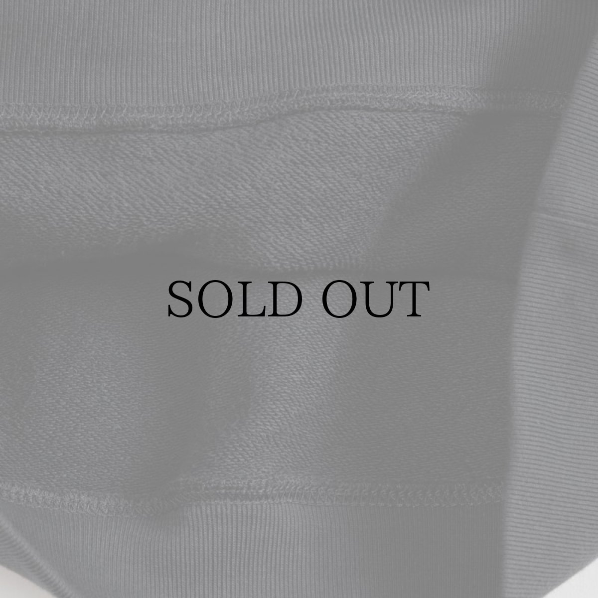 画像16: APPLEBUM(アップルバム) / "Bald Eagle" Crew Sweat (16)