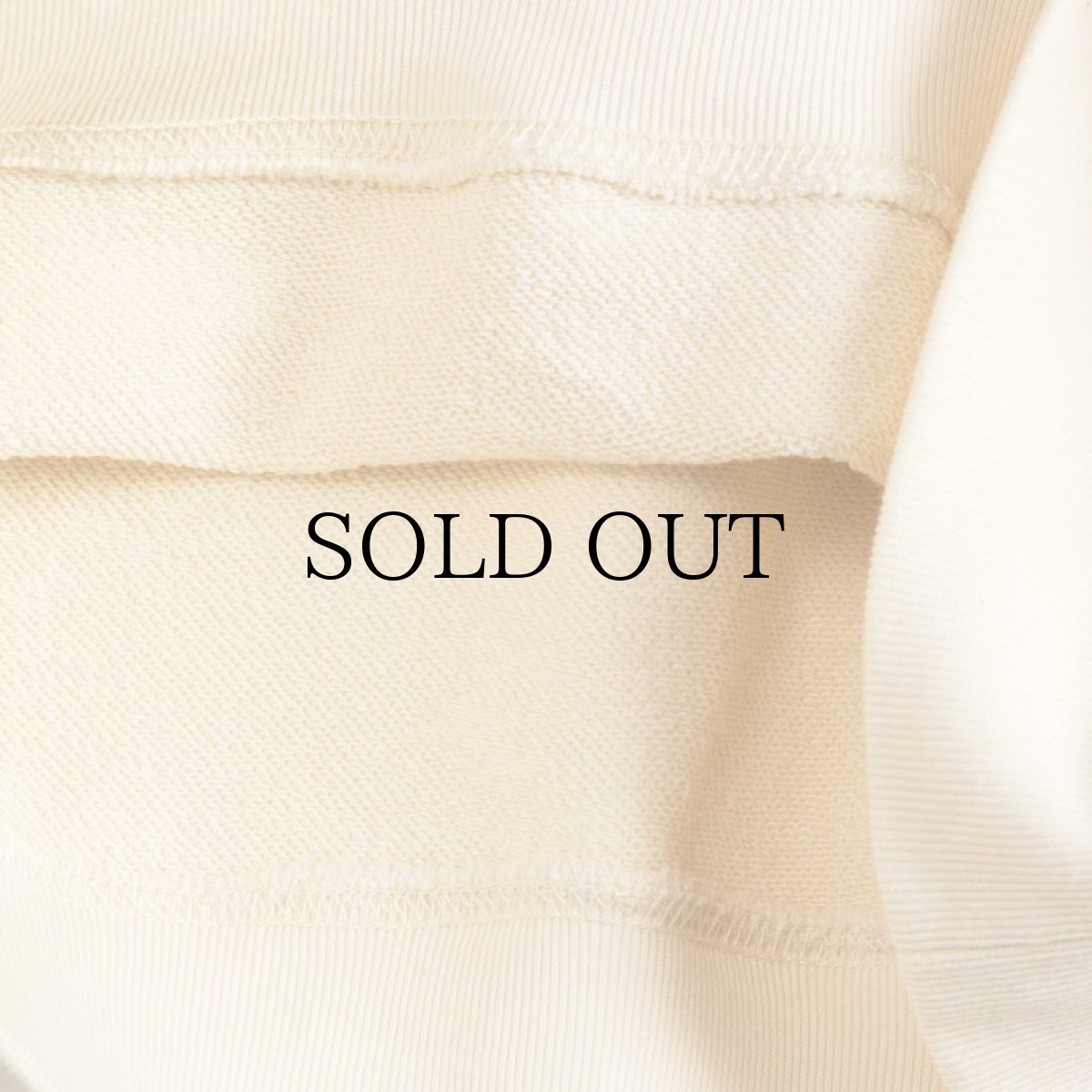 画像15: APPLEBUM(アップルバム) / "Bald Eagle" Crew Sweat (15)