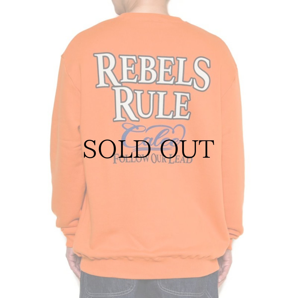 画像12: CALEE(キャリー) / "REBELS RULE" CREW NECK SW (12)