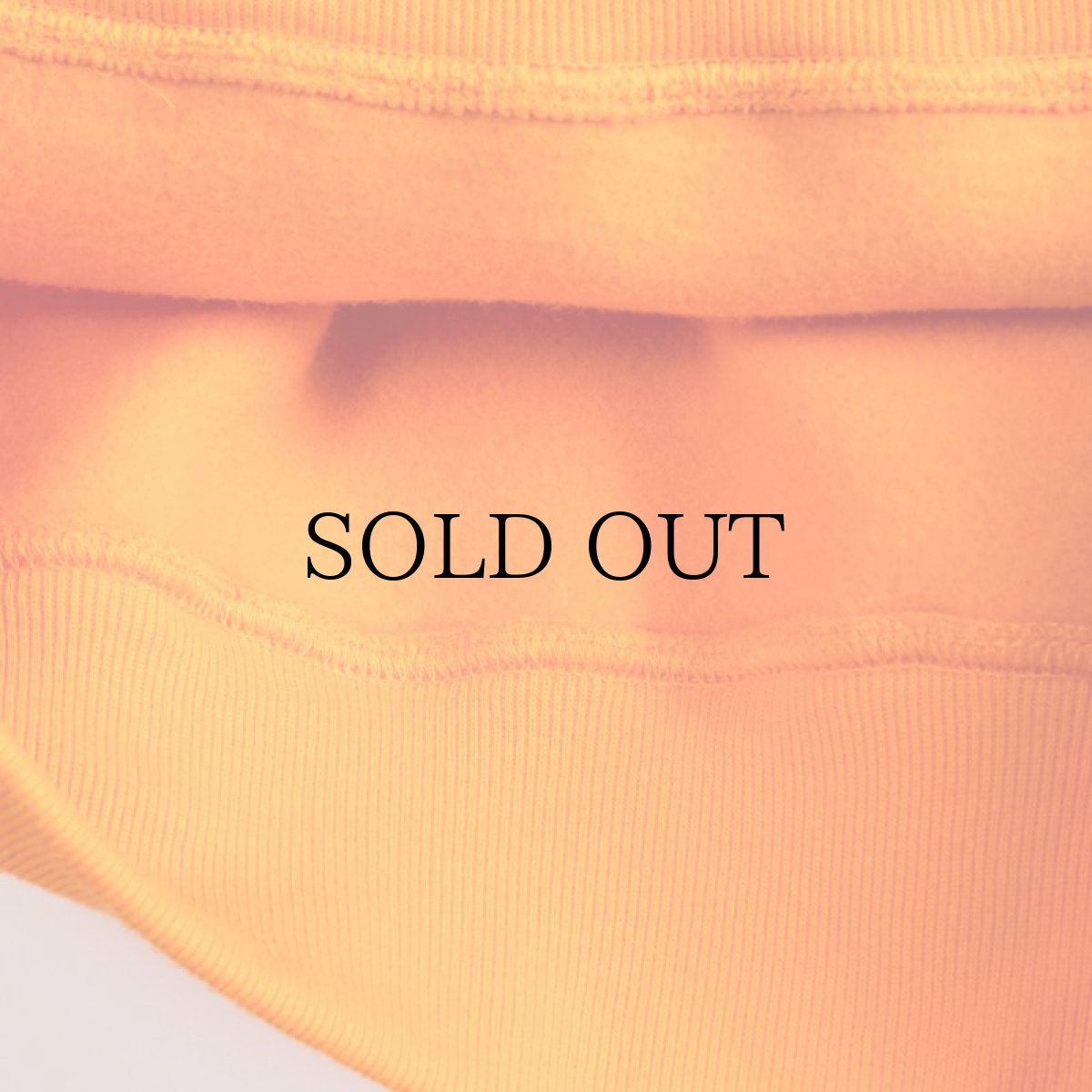 画像25: APPLEBUM(アップルバム) / "COME CLEAN" SWEAT PARKA (25)