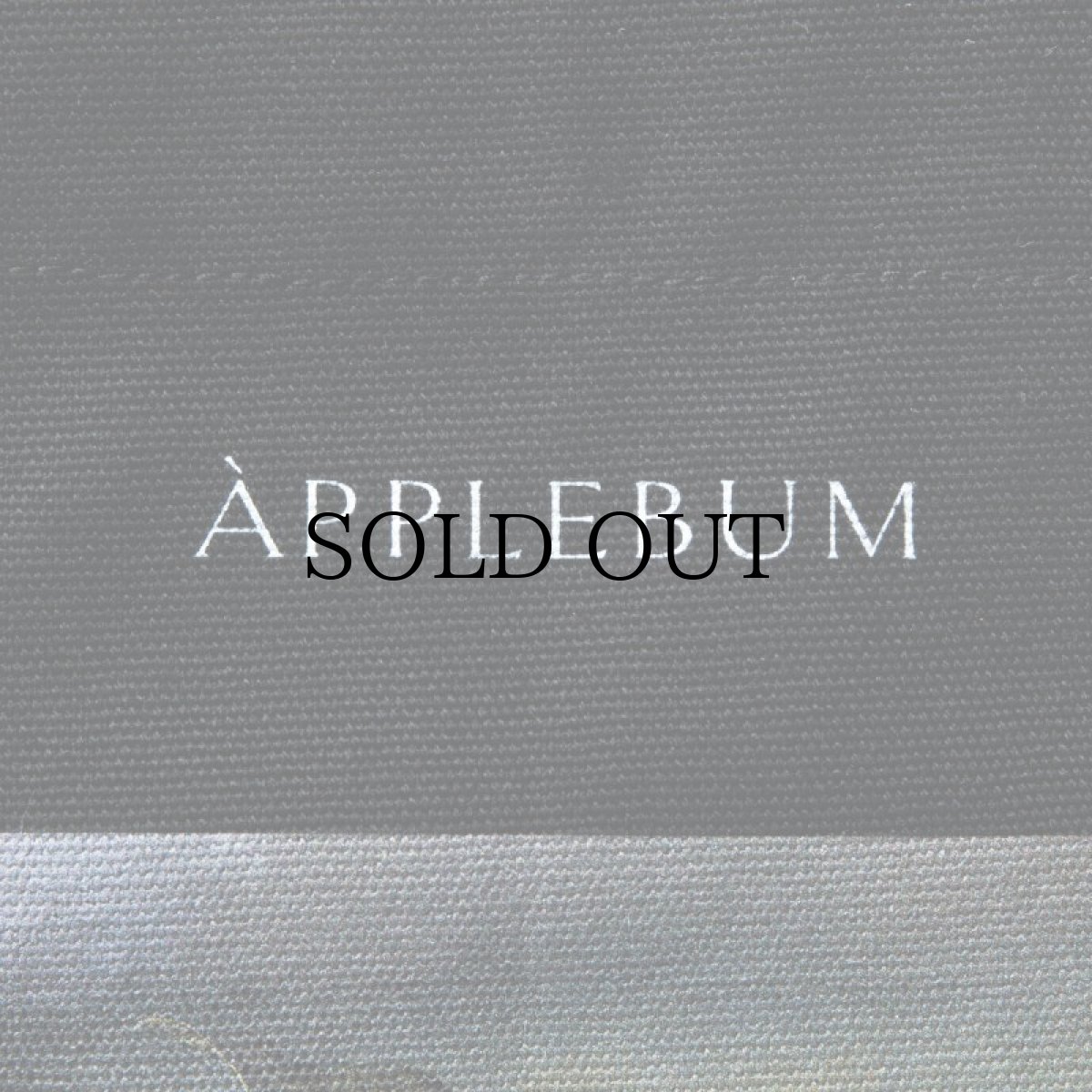 画像7: APPLEBUM(アップルバム) / "BONITA APPLEBUM 1500" TOTEBAG [BLACK] (7)