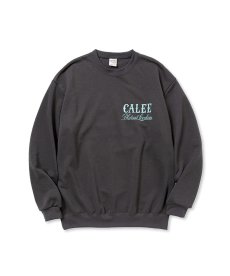 画像4: CALEE(キャリー) / AEROKNOT PERMANENT CREW NECK SW ＜NATURALLY PAINT DESIGN＞ (4)