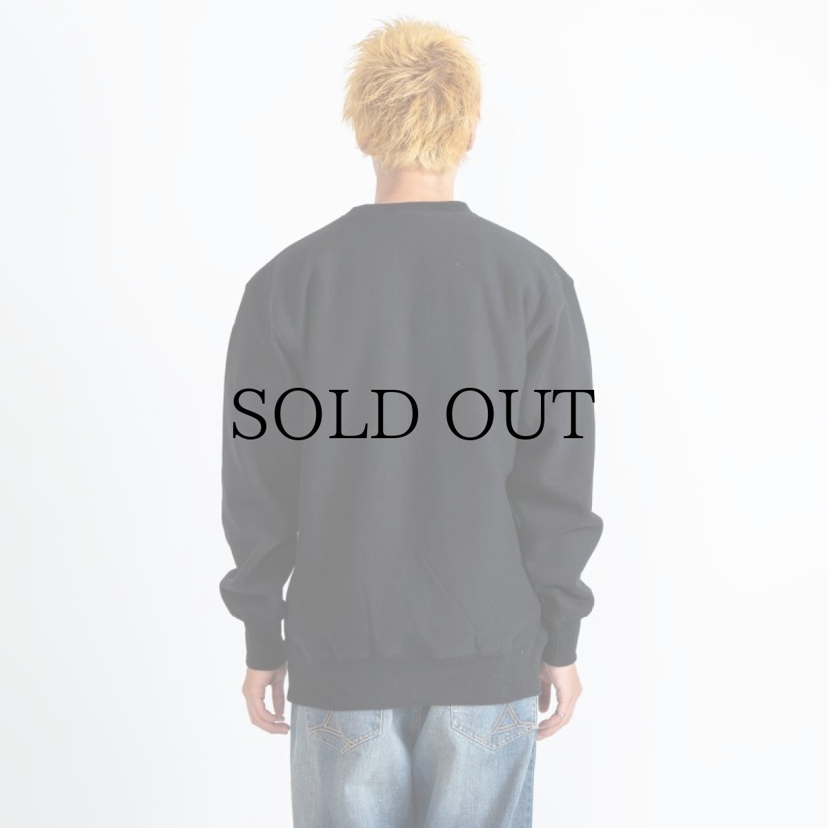 画像13: APPLEBUM(アップルバム) / “Enemy” Crew Sweat (13)