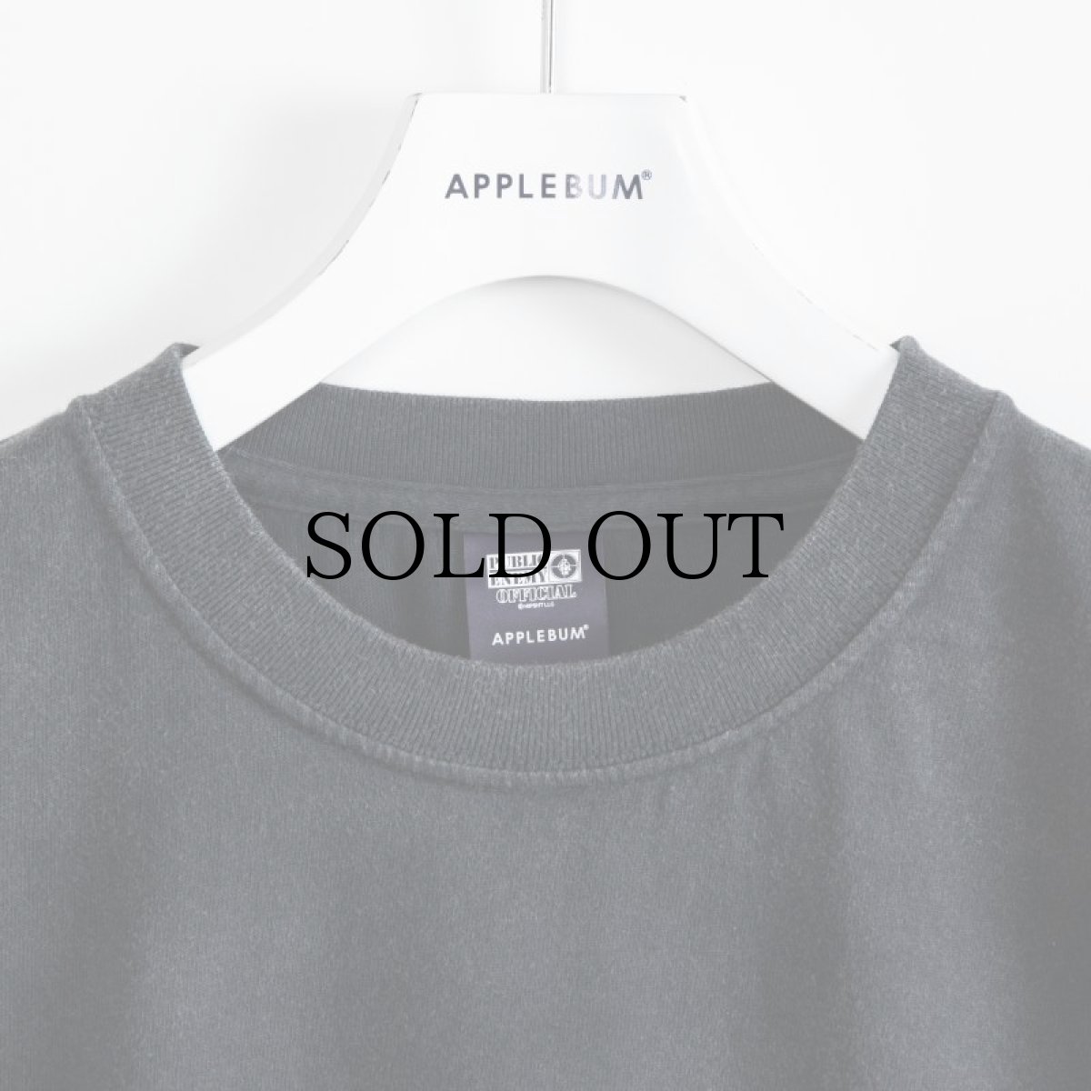 画像3: APPLEBUM(アップルバム) / ”PUBLIC ENEMY” RESURRECTED VINTAGE T-SHIRT (3)