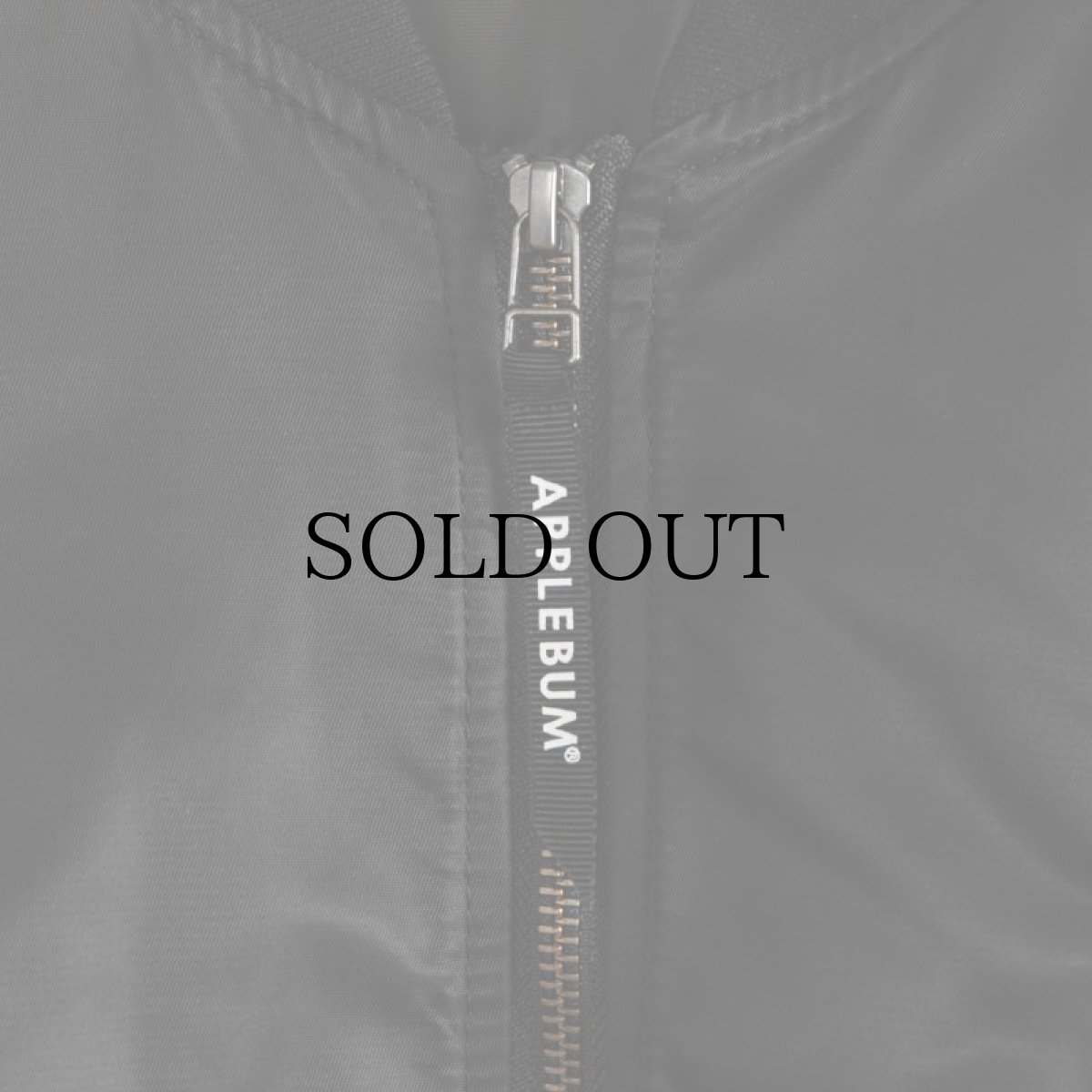 画像6: APPLEBUM(アップルバム) / ”PUBLIC ENEMY” MA-1 Jacket (6)