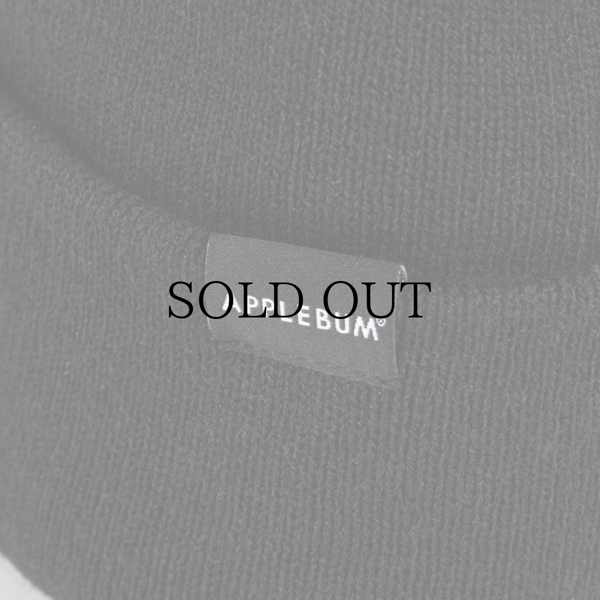 画像4: APPLEBUM(アップルバム) / ”PUBLIC ENEMY” Knit Cap (4)