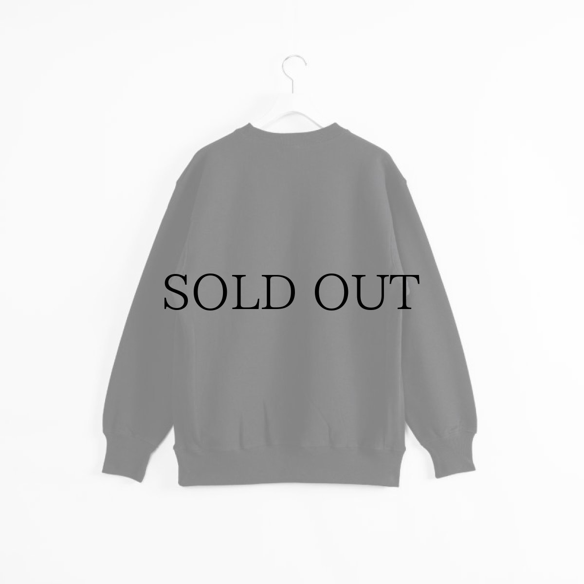 画像3: APPLEBUM(アップルバム) / “Enemy” Crew Sweat (3)