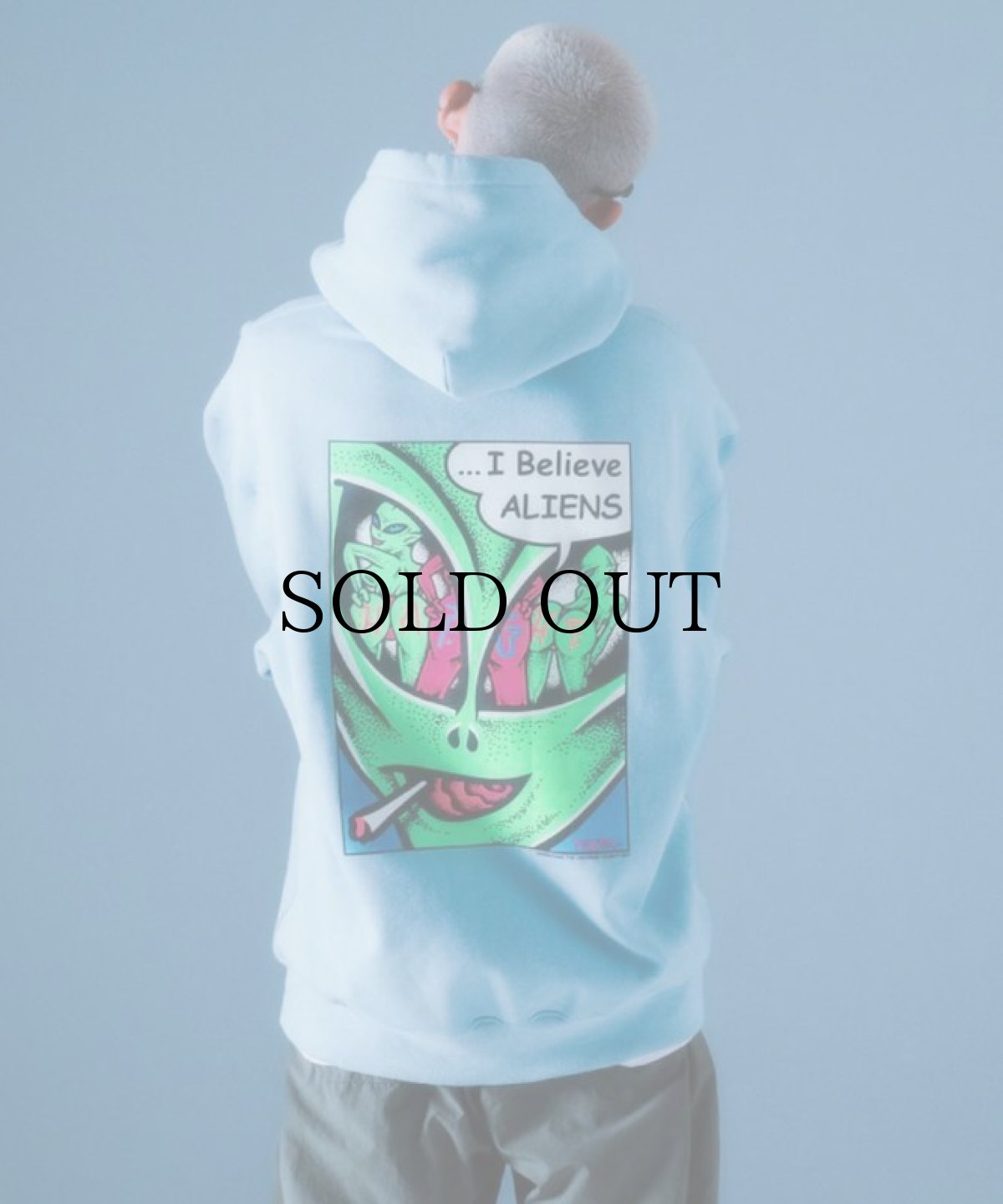 画像10: 【30%OFF】HAIGHT / ALIENS HOODIE (10)