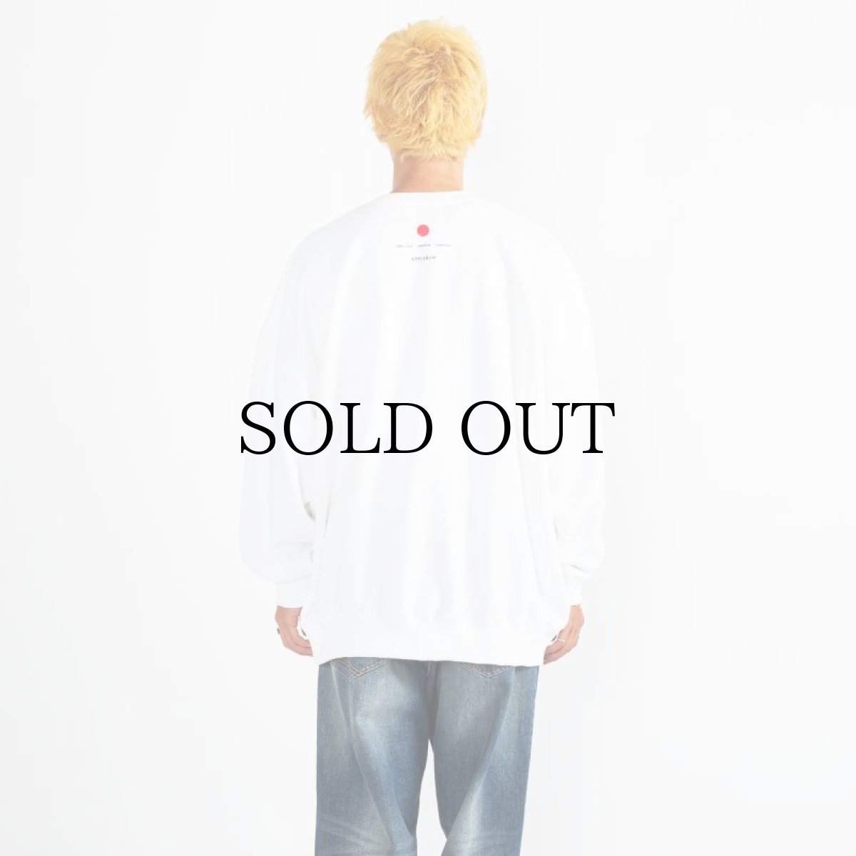 画像30: APPLEBUM(アップルバム) / "ごっつアップルバム" CREW SWEAT (30)