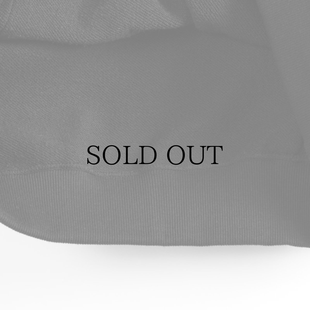 画像20: APPLEBUM(アップルバム) / "ごっつアップルバム" CREW SWEAT (20)