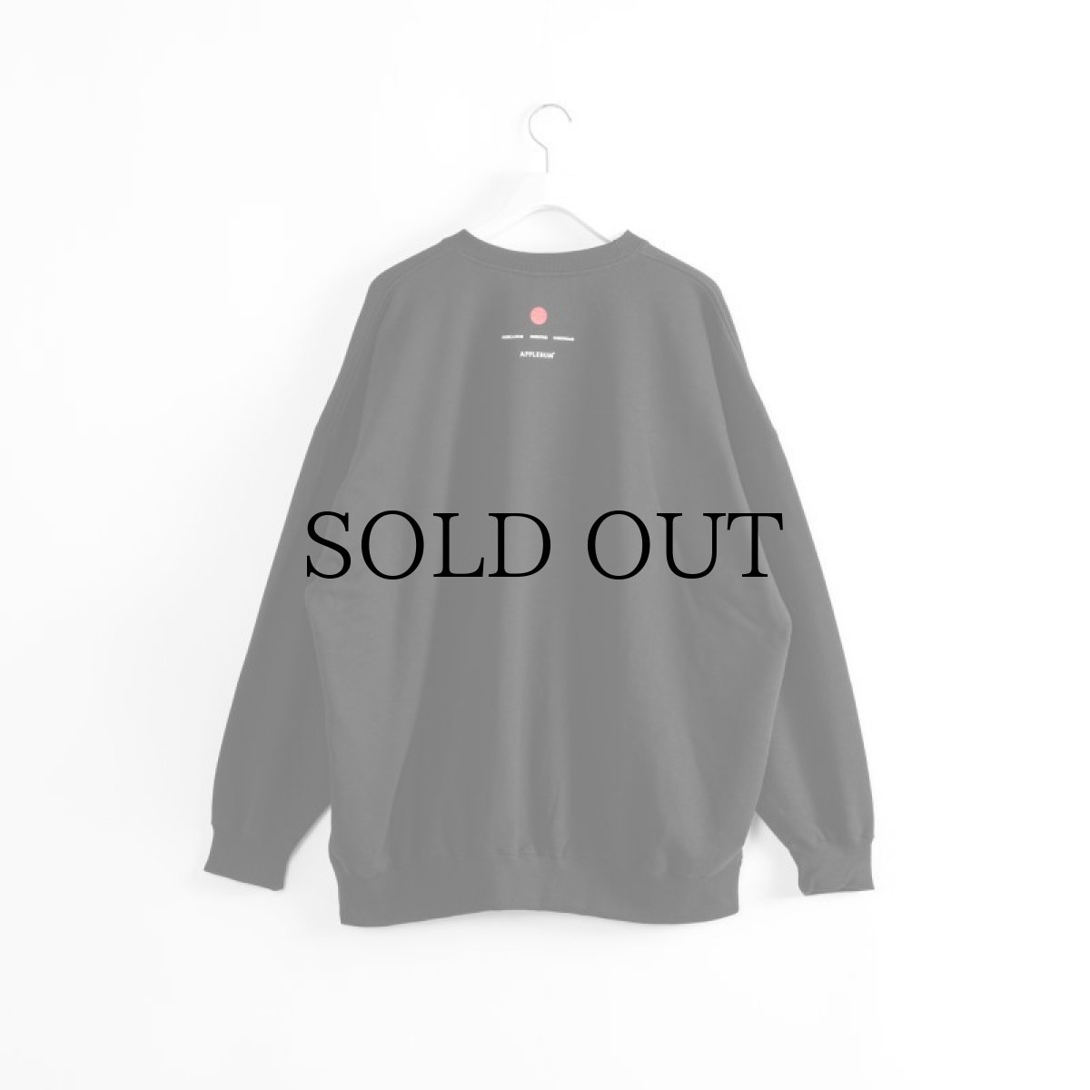 画像5: APPLEBUM(アップルバム) / "ごっつアップルバム" CREW SWEAT (5)