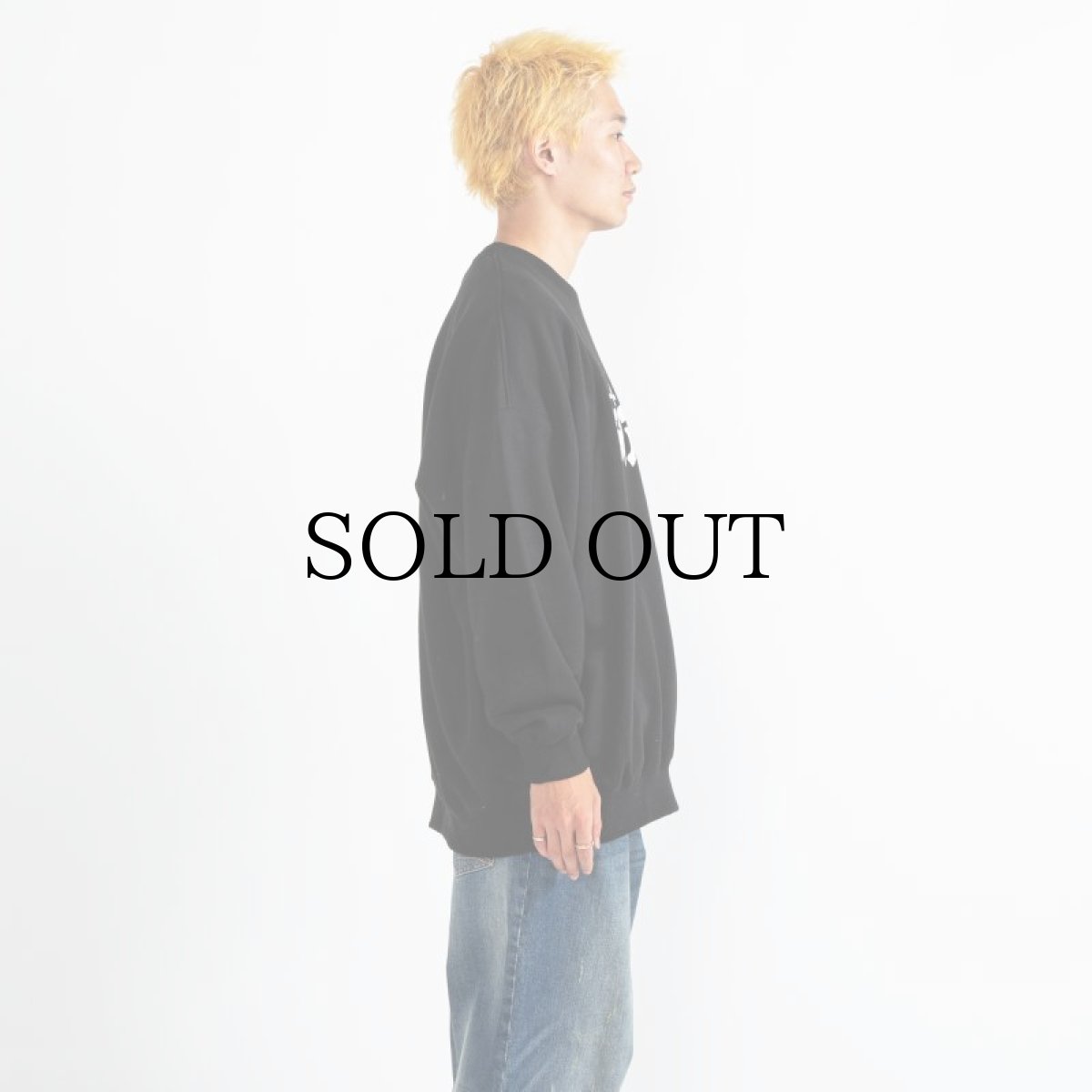 画像26: APPLEBUM(アップルバム) / "ごっつアップルバム" CREW SWEAT (26)