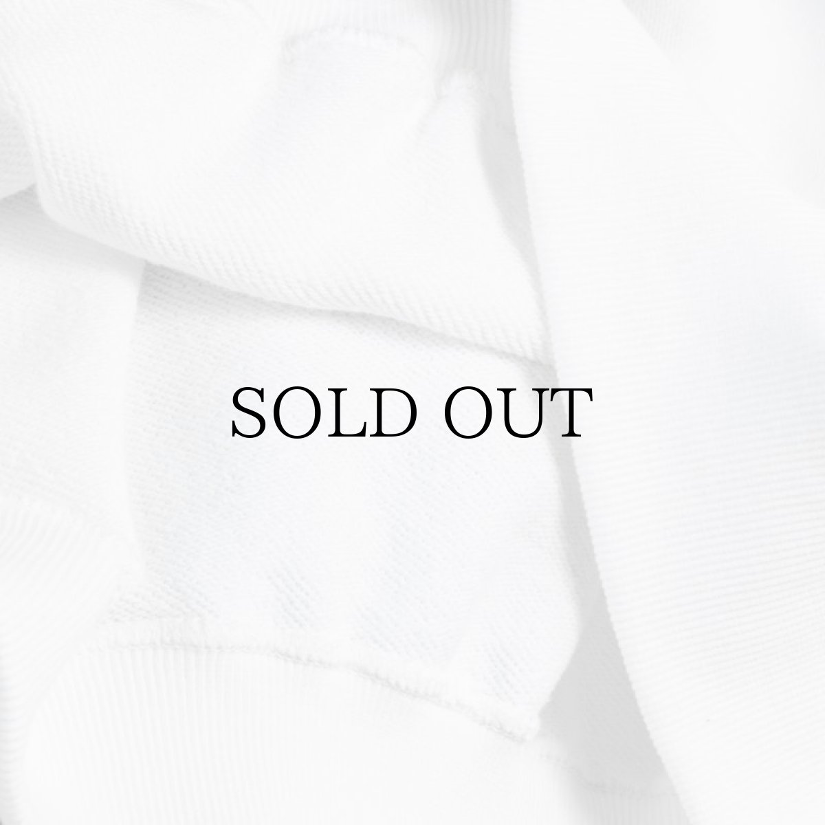 画像21: APPLEBUM(アップルバム) / "ごっつアップルバム" CREW SWEAT (21)