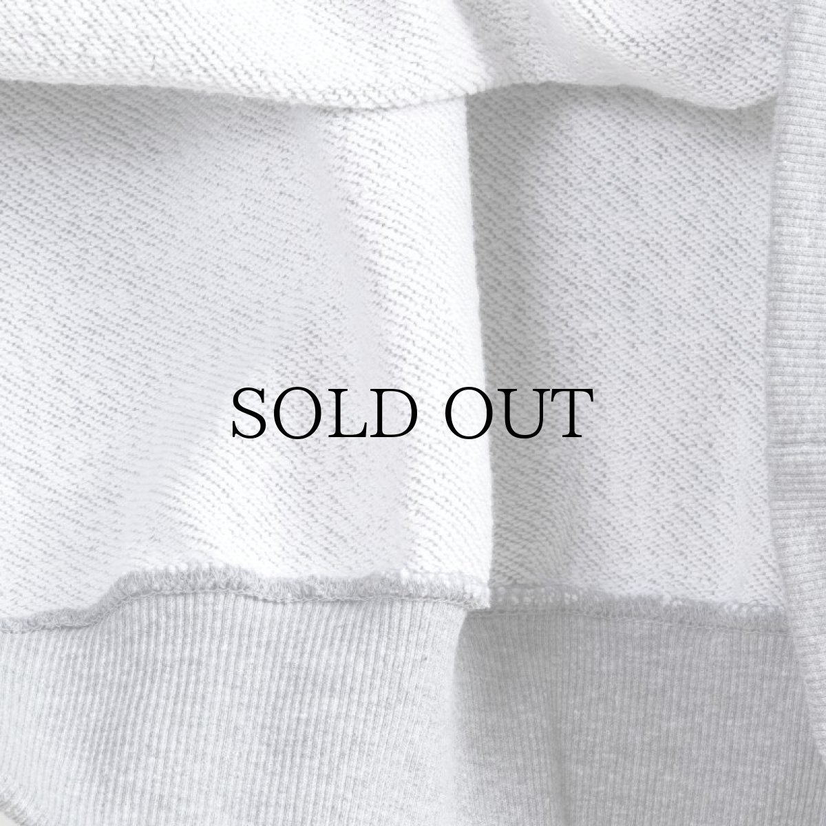 画像19: APPLEBUM(アップルバム) / "ごっつアップルバム" CREW SWEAT (19)