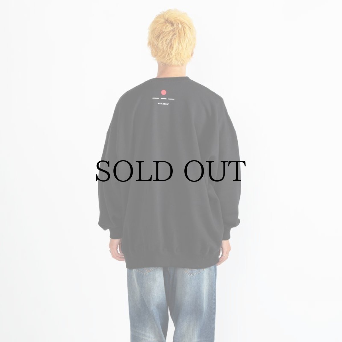 画像29: APPLEBUM(アップルバム) / "ごっつアップルバム" CREW SWEAT (29)