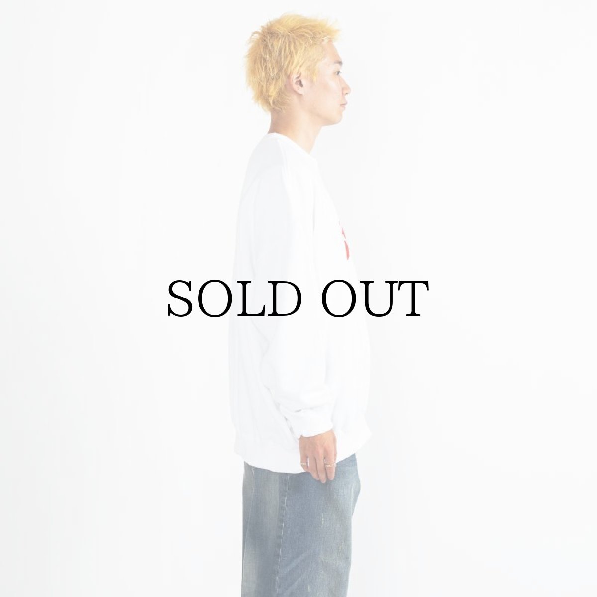 画像27: APPLEBUM(アップルバム) / "ごっつアップルバム" CREW SWEAT (27)