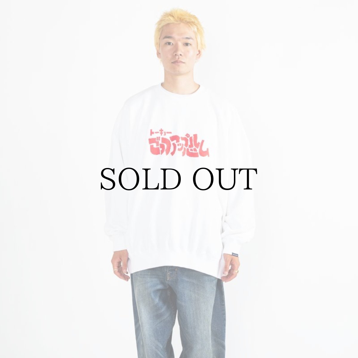 画像24: APPLEBUM(アップルバム) / "ごっつアップルバム" CREW SWEAT (24)