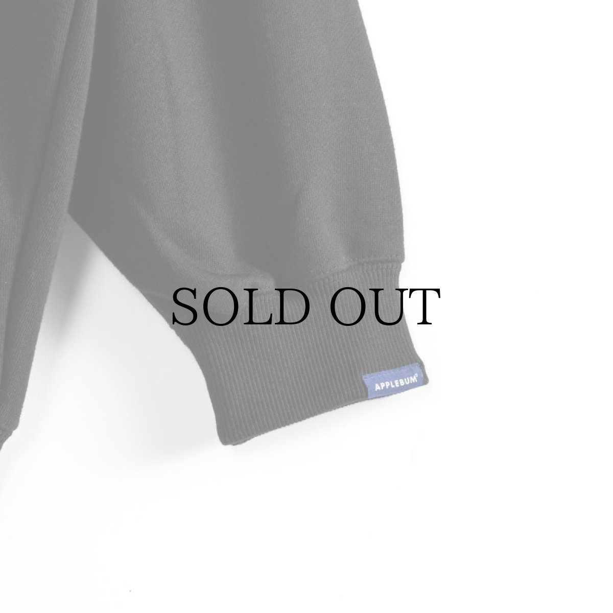 画像14: APPLEBUM(アップルバム) / "ごっつアップルバム" CREW SWEAT (14)