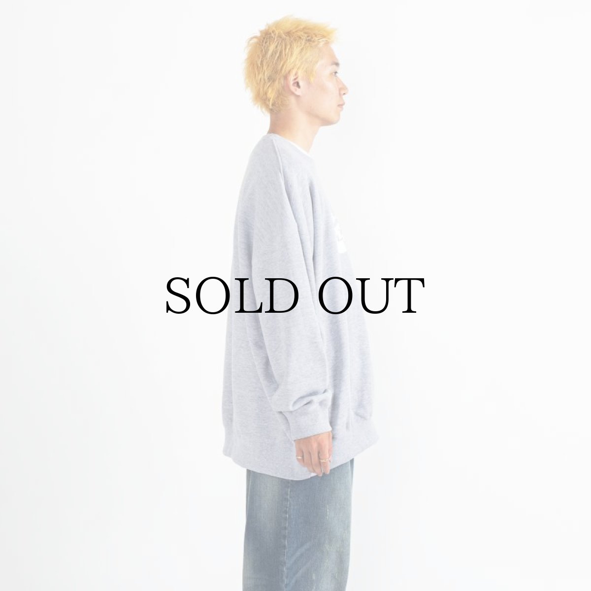 画像25: APPLEBUM(アップルバム) / "ごっつアップルバム" CREW SWEAT (25)