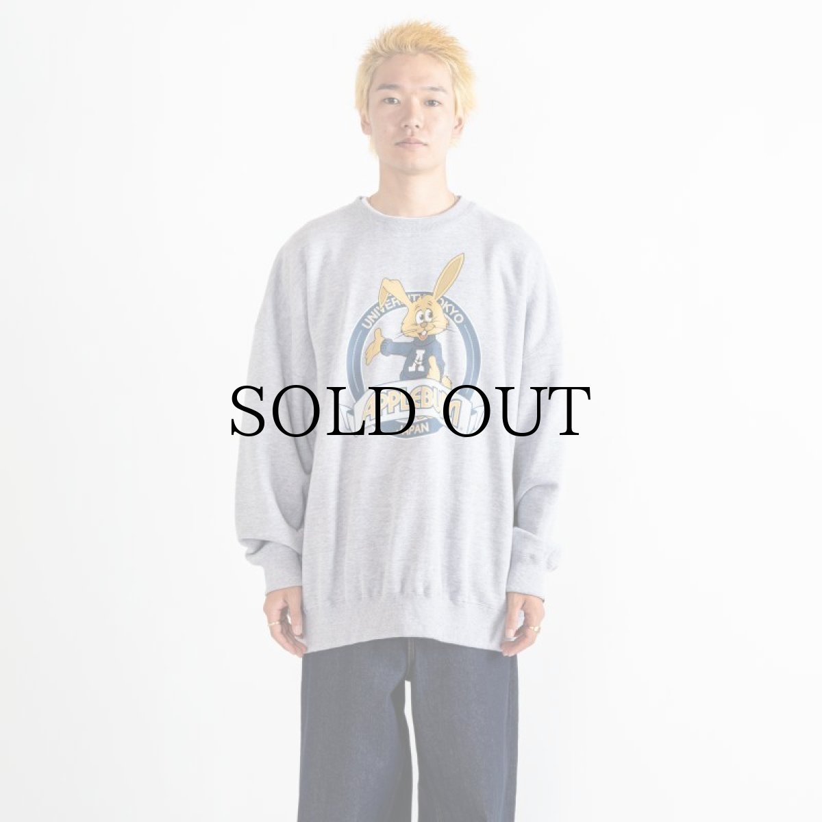 画像7: APPLEBUM(アップルバム) / "APPLEBUM HIGH SCHOOL" CREW SWEAT (7)