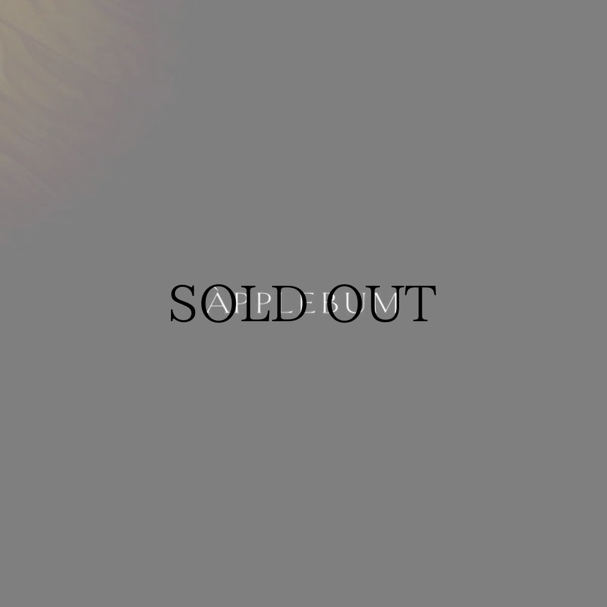 画像3: APPLEBUM(アップルバム) / "THE AGE OF EXPLORATION" A1 POSTER (3)