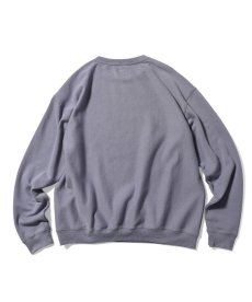 画像7: 【20%OFF】LFYT(ラファイエット) / WORN OUT SMALL LOGO CREW SWEAT (7)