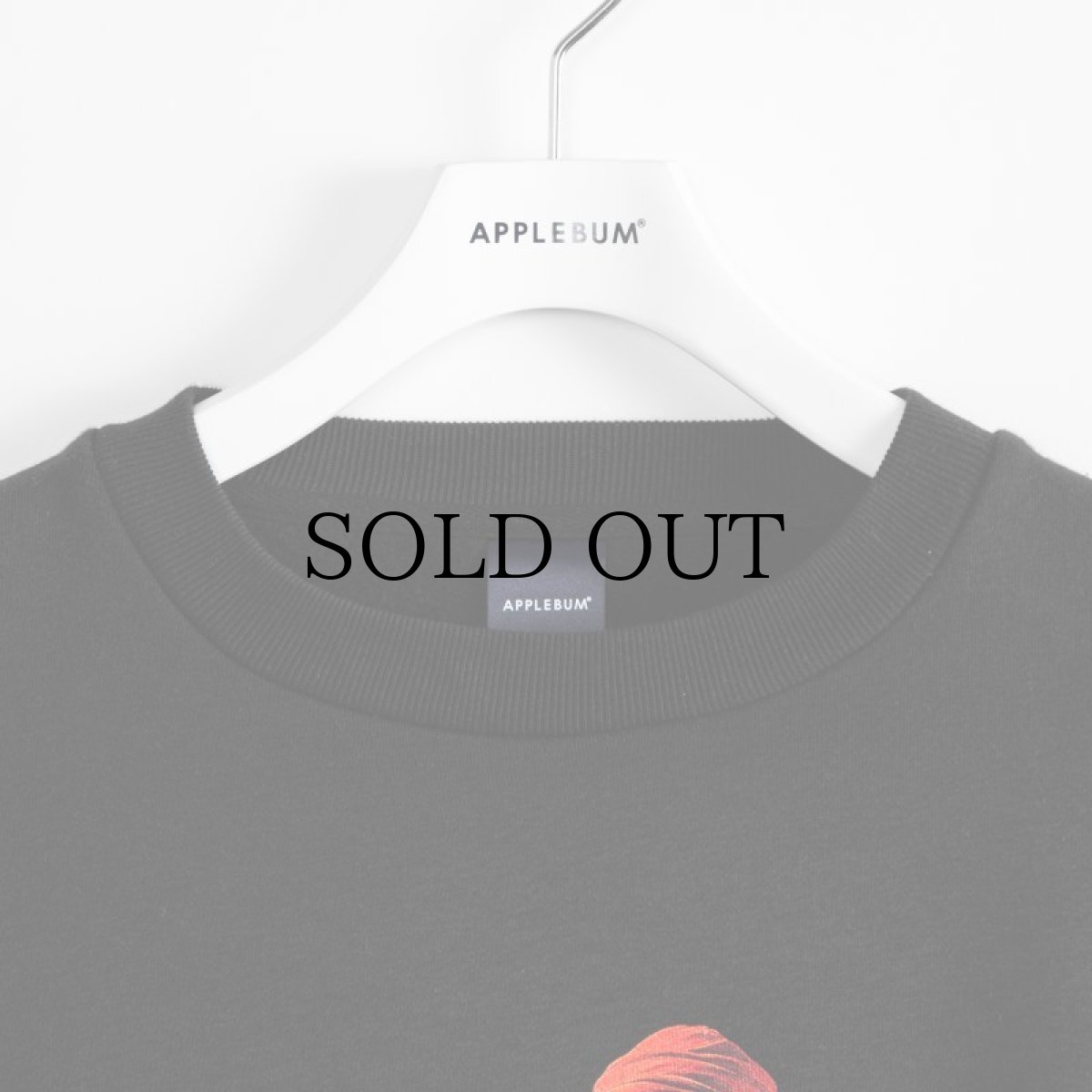 画像4: APPLEBUM(アップルバム) / "THE AGE OF EXPLORATION" CREW SWEAT (4)