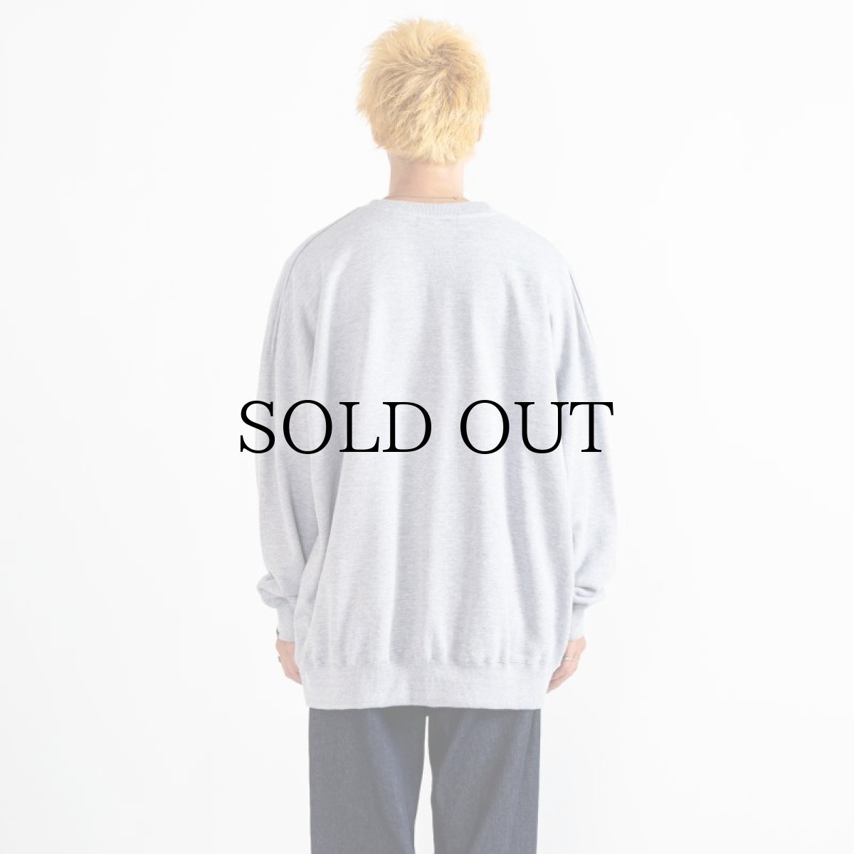 画像9: APPLEBUM(アップルバム) / "APPLEBUM HIGH SCHOOL" CREW SWEAT (9)