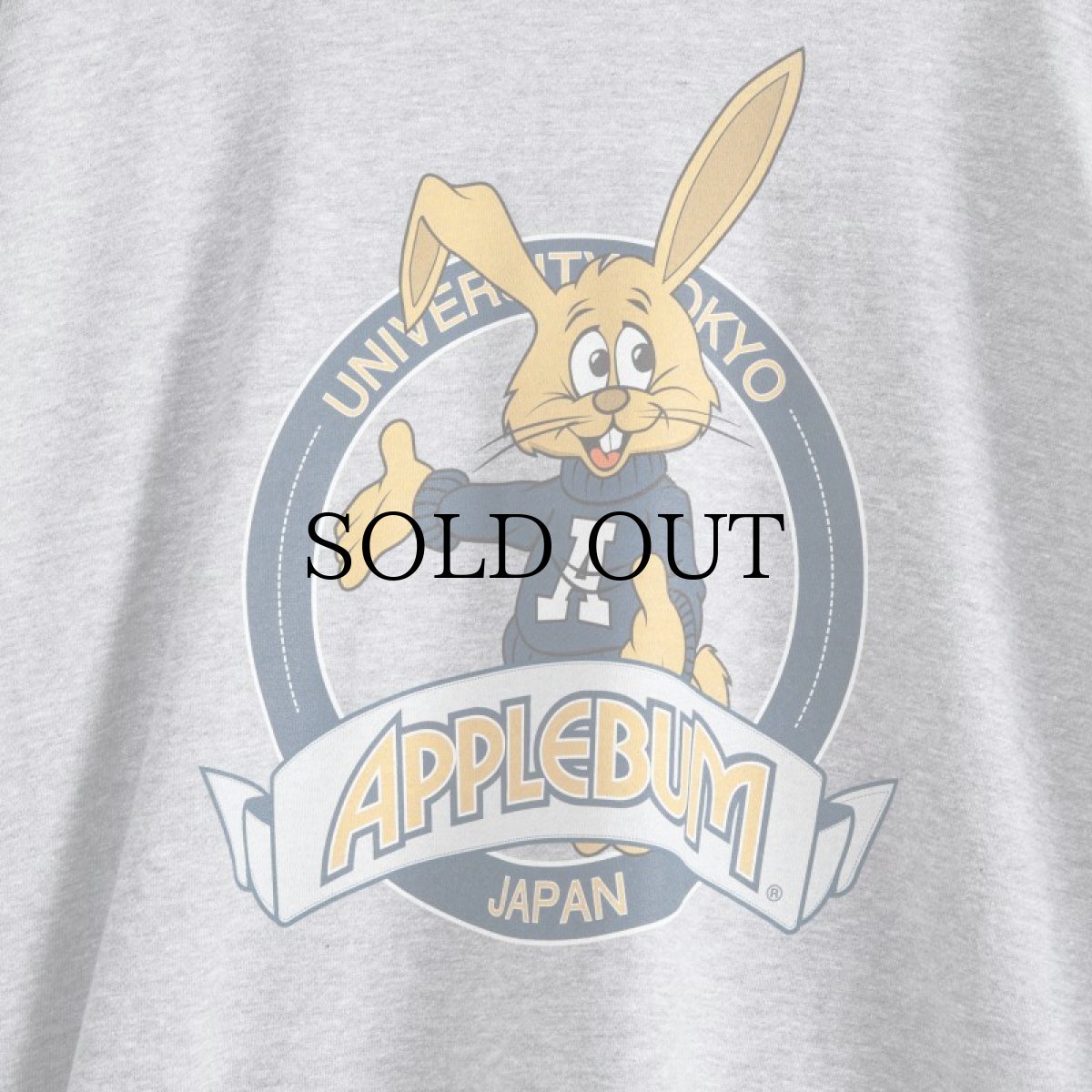 画像4: APPLEBUM(アップルバム) / "APPLEBUM HIGH SCHOOL" CREW SWEAT (4)