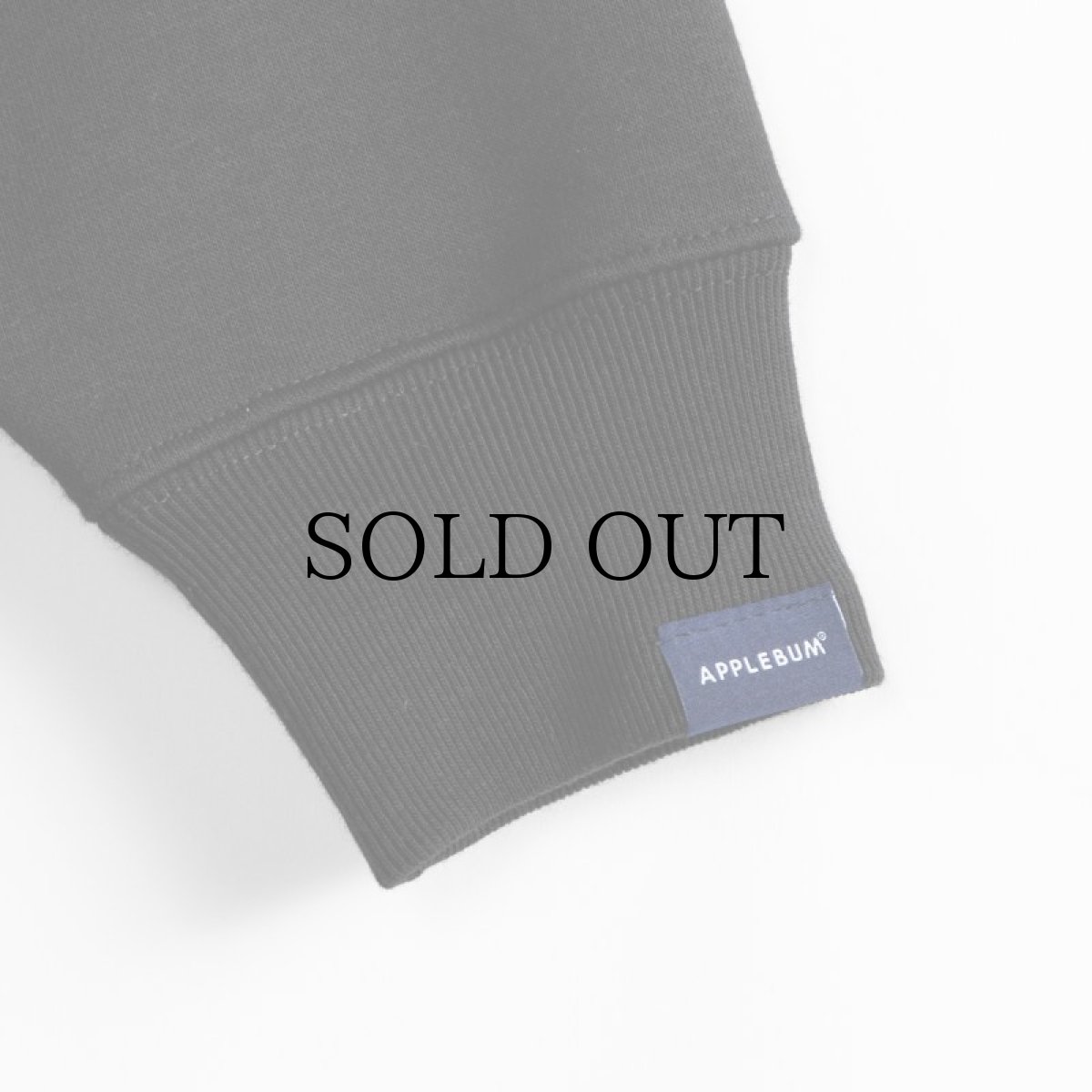 画像7: APPLEBUM(アップルバム) / "THE AGE OF EXPLORATION" CREW SWEAT (7)