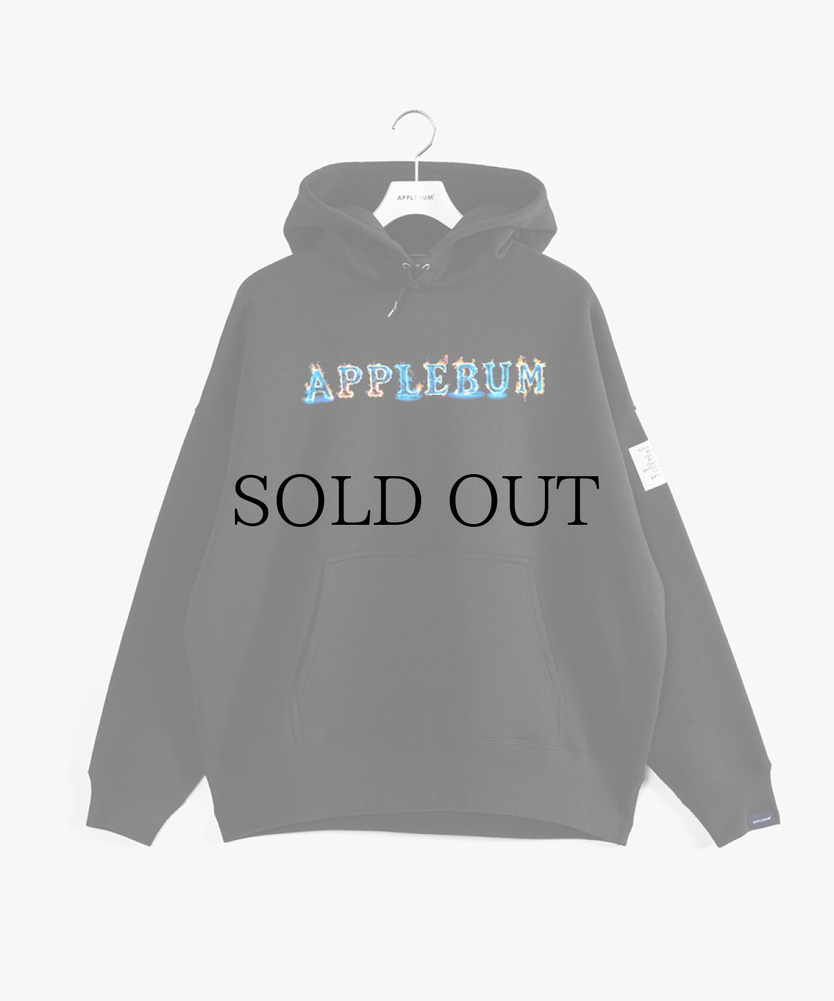 画像1: APPLEBUM(アップルバム) / "BLUE FLAME LOGO" SWEAT PARKA (1)