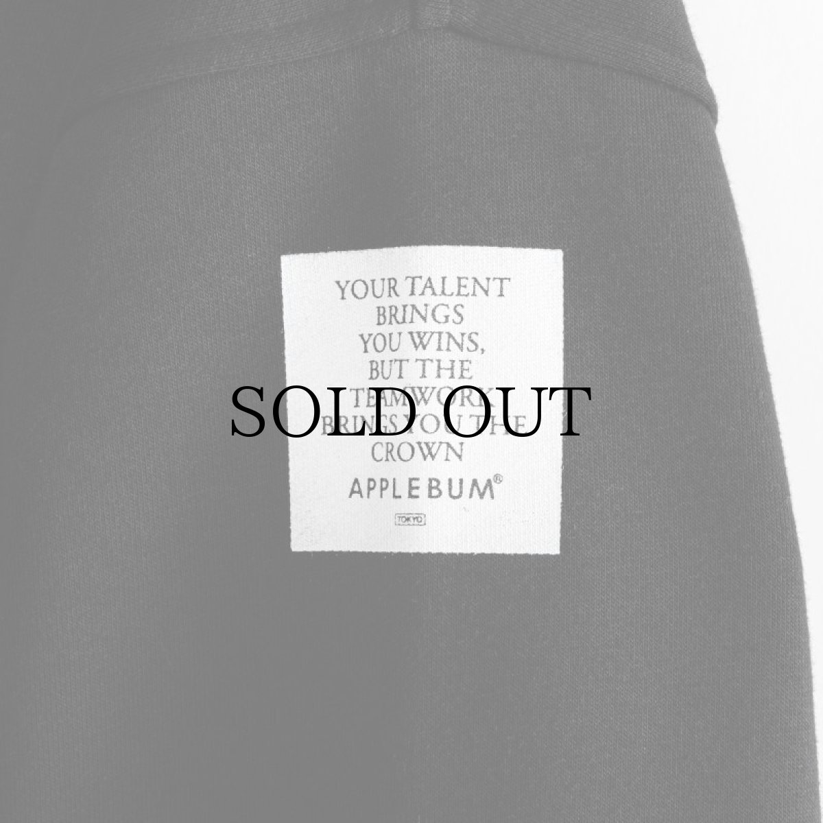 画像5: APPLEBUM(アップルバム) / "BLUE FLAME LOGO" SWEAT PARKA (5)