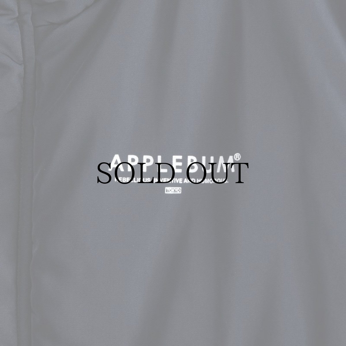 画像8: APPLEBUM(アップルバム) / MILITARY INNERCOTTON VEST (8)