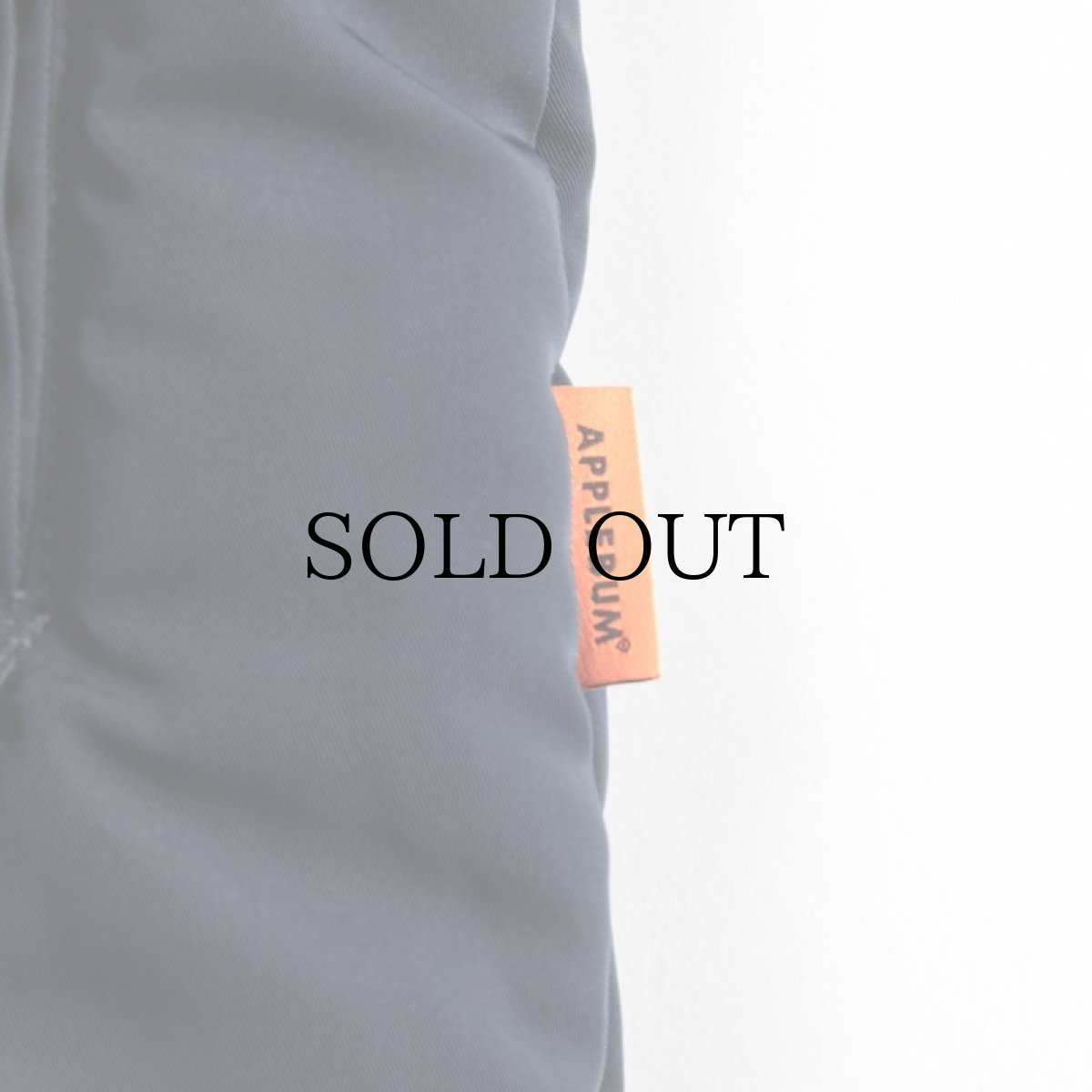 画像14: APPLEBUM(アップルバム) / MILITARY INNERCOTTON VEST (14)