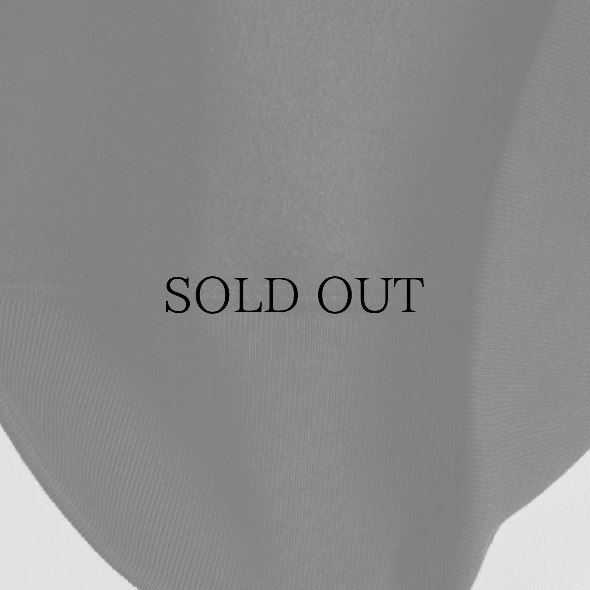 画像7: APPLEBUM(アップルバム) / "BLUE FLAME LOGO" SWEAT PARKA (7)