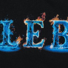 画像5: APPLEBUM(アップルバム) / "BLUE FLAME LOGO" TOTEBAG (5)