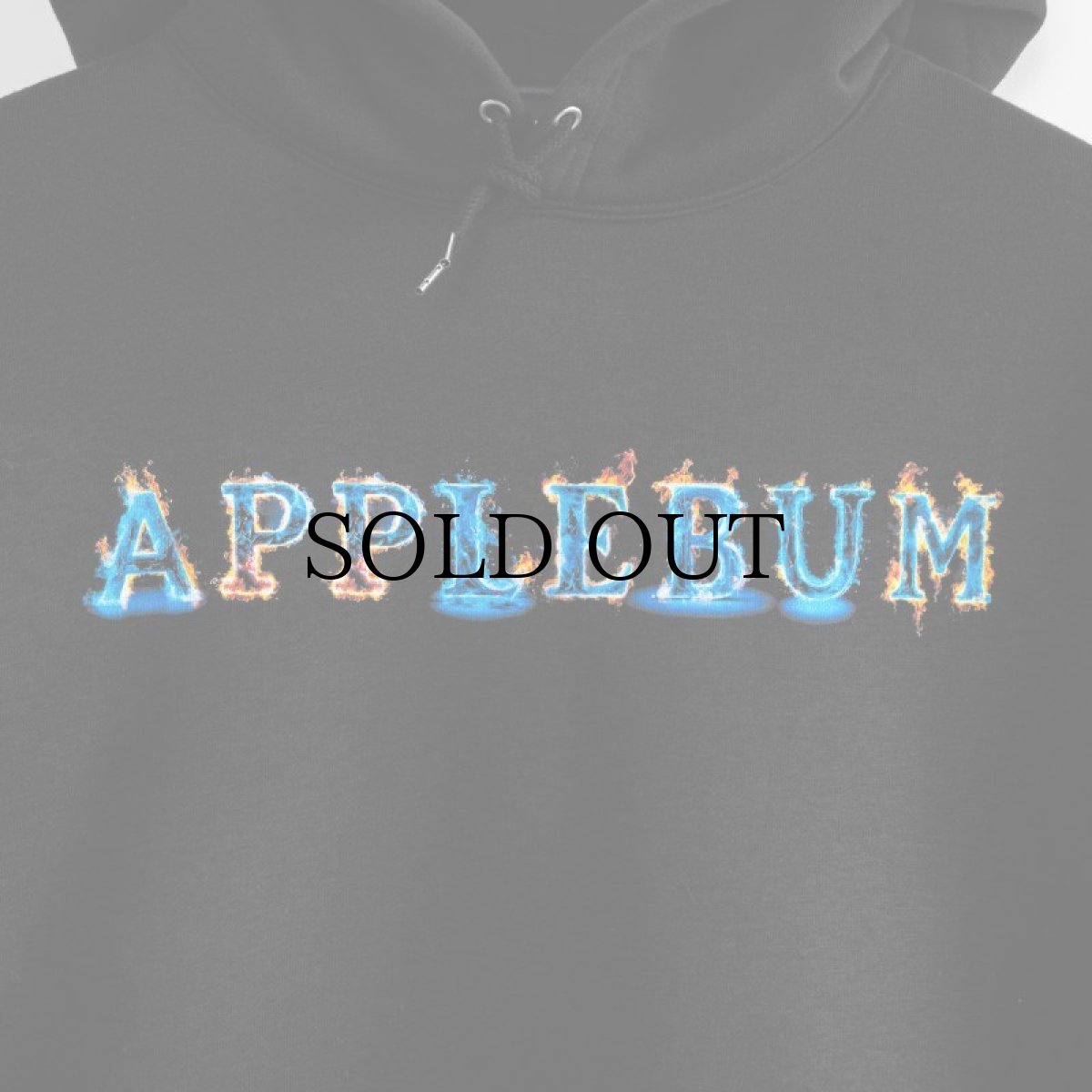 画像4: APPLEBUM(アップルバム) / "BLUE FLAME LOGO" SWEAT PARKA (4)