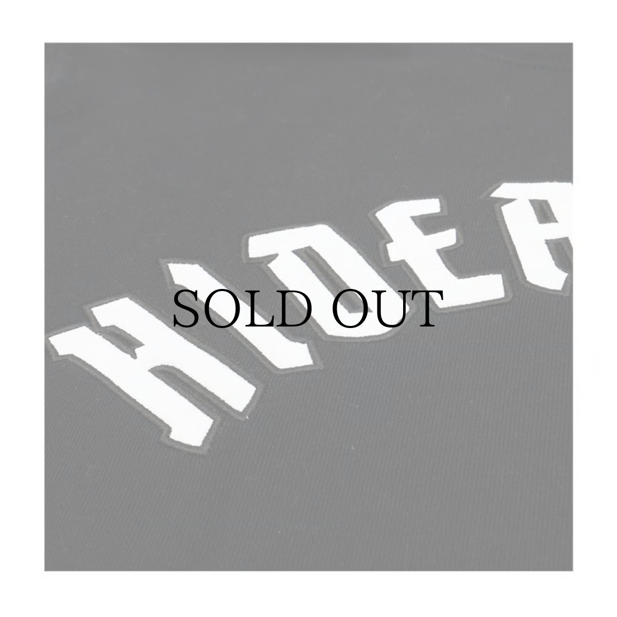 画像4: HIDEANDSEEK(ハイドアンドシーク) / Team Hooded Sweat Shirt(23aw) (4)