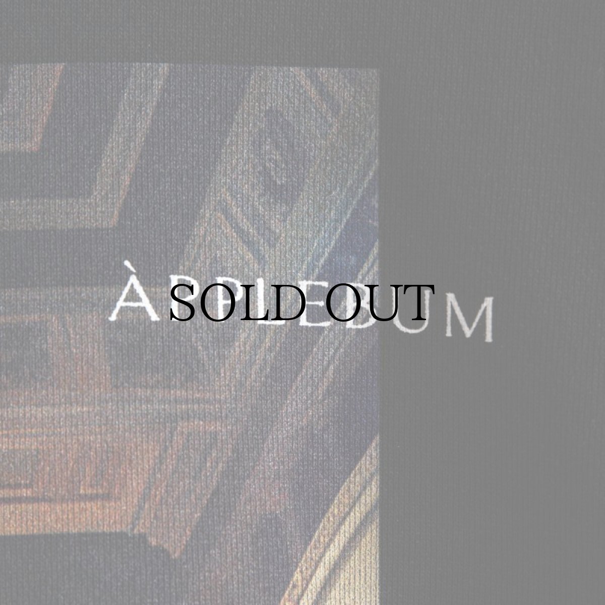 画像5: APPLEBUM(アップルバム) / "THE SOARING MONARCH" HEAVY SWEAT PARKA (5)